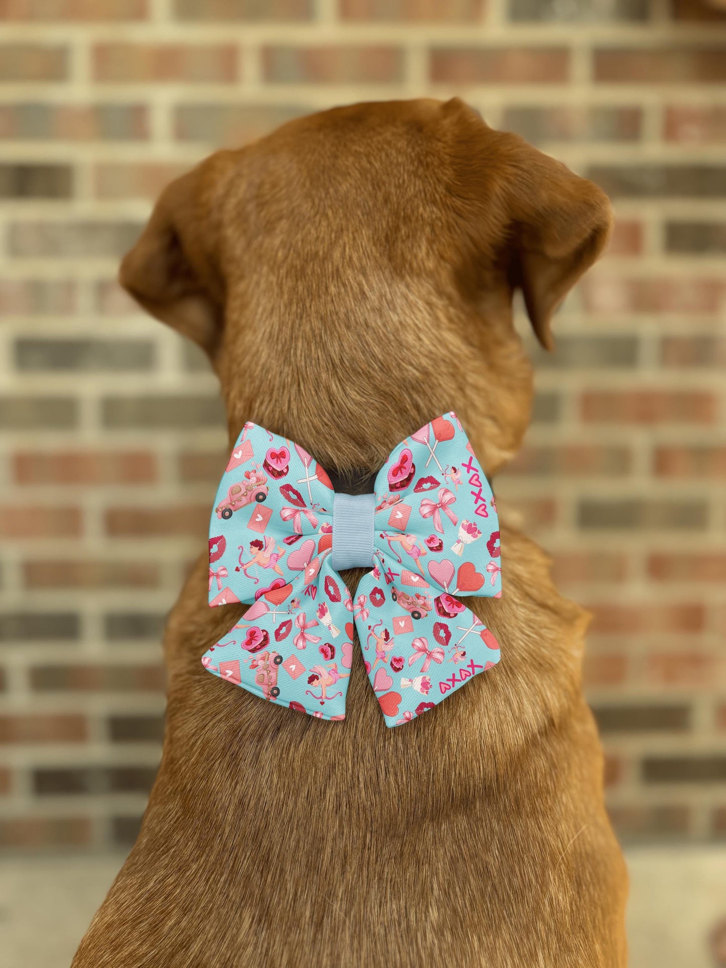 Valentine's Cupid Love Bow Tie • Aqua Blue Hearts & Cupids Design • Dog Bow Tie • Cat Bow Tie • Handmade