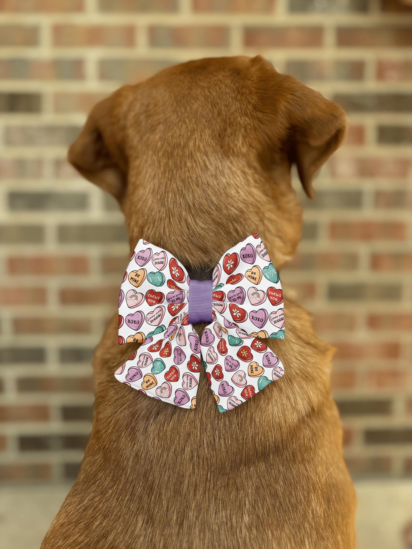 Valentine's Day Candy Heart Bow Tie • Colorful Sweetheart Pattern • Retro Modern Style • Dog Bow Tie • Cat Bow Tie • Handmade