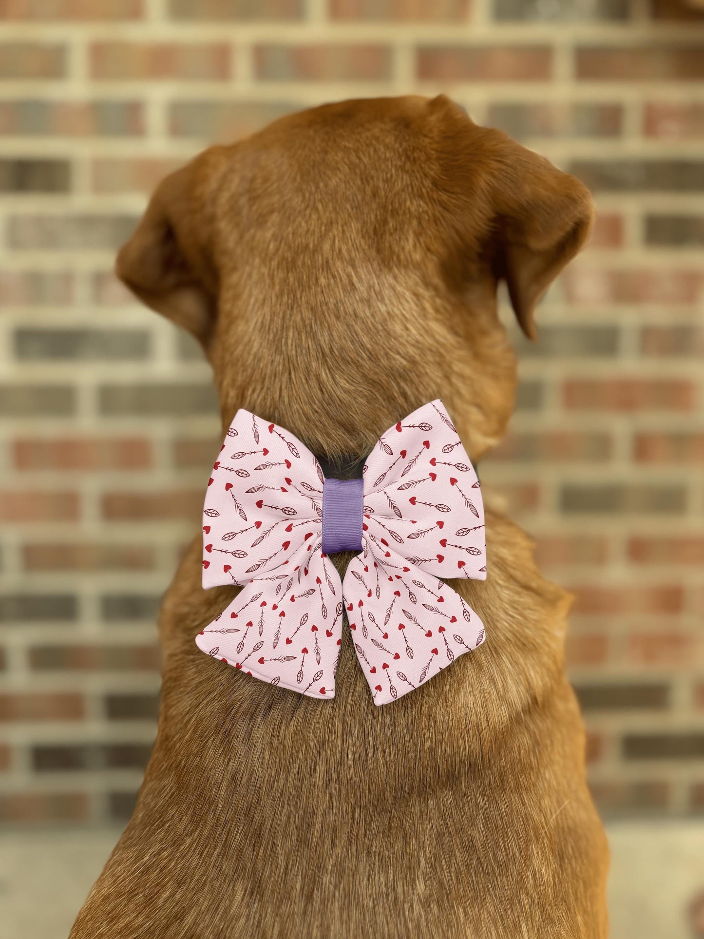 Cupid's Arrows Bow Tie • Blush Pink & Red Heart Arrows Design • Dog Bow Tie • Cat Bow Tie • Handmade