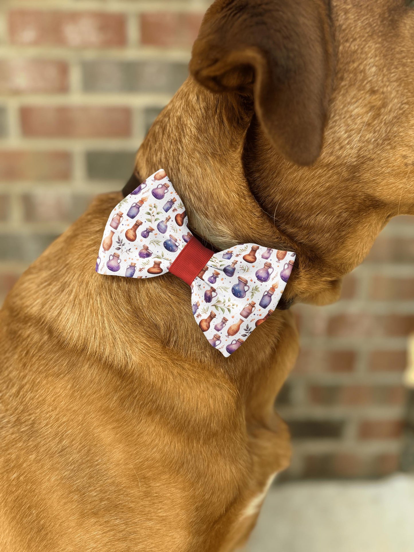 Enchanted Potion Bottles Pet Bow Tie • Magic Potion-Themed Bow • Handmade Adjustable Collar Accessory • Dog Bow Tie • Cat Bow Tie • Handmade