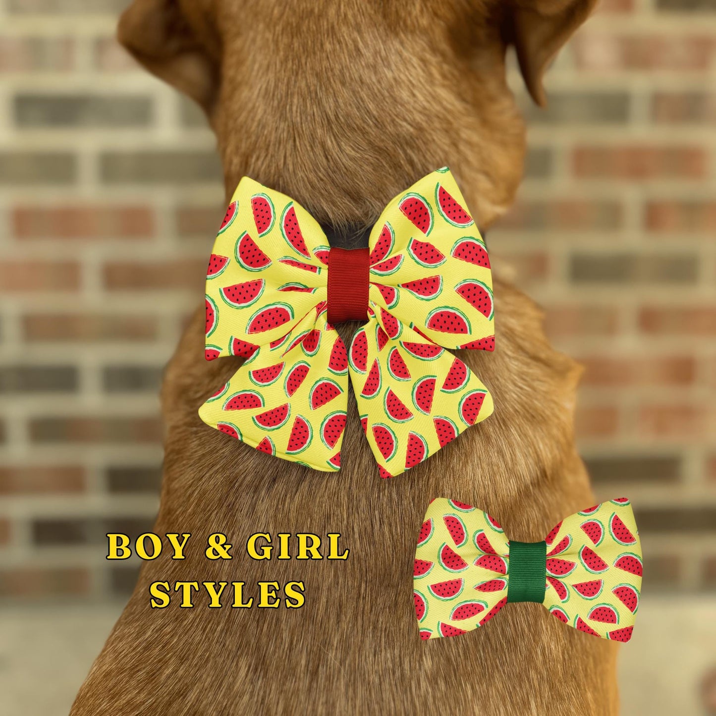 Watermelon Dog Bow Tie • Bright Yellow Background with Watermelon Slices • Slip-On Design • Dog Bow Tie • Cat Bow Tie • Handmade