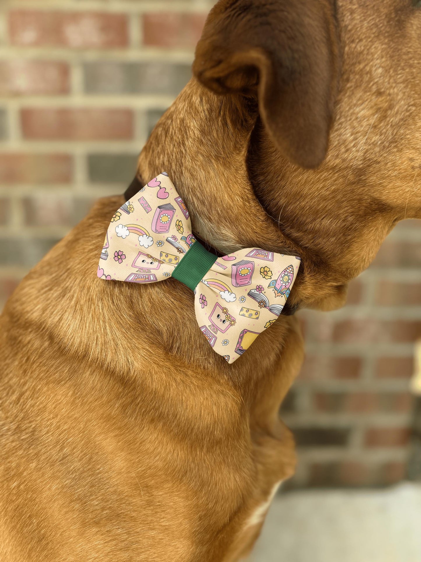 Back-to-School Blossoms Pet Bow Tie • Colorful School-Themed Pattern with Books, Computers, Pencils • Dog Bow Tie • Cat Bow Tie • Handmade