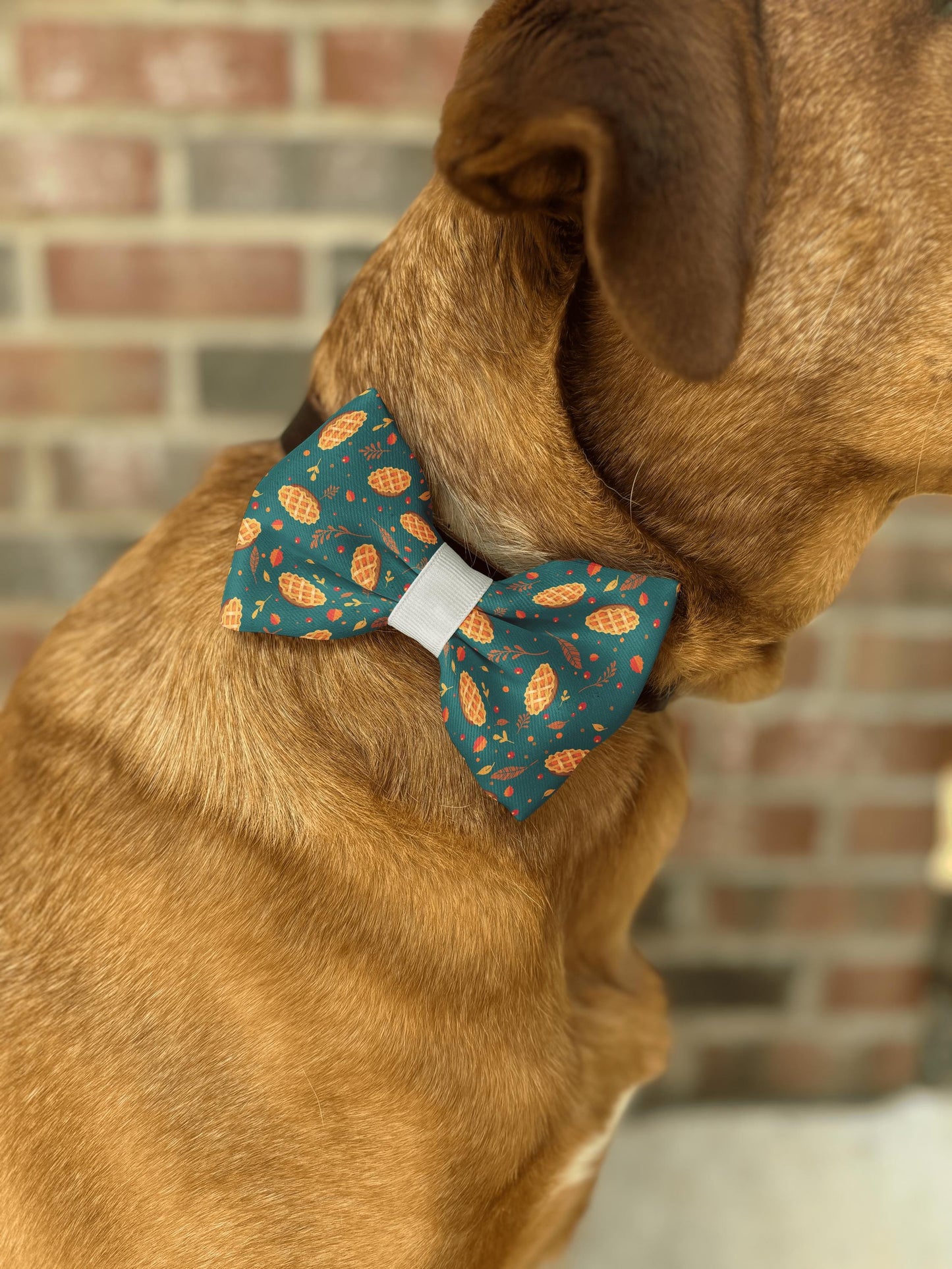 Autumn Pie Delight Pet Collar Bow Tie • Festive Fall Design • Cozy & Vibrant Colors • 21 Ribbons • Dog Bow Tie • Cat Bow Tie • Handmade