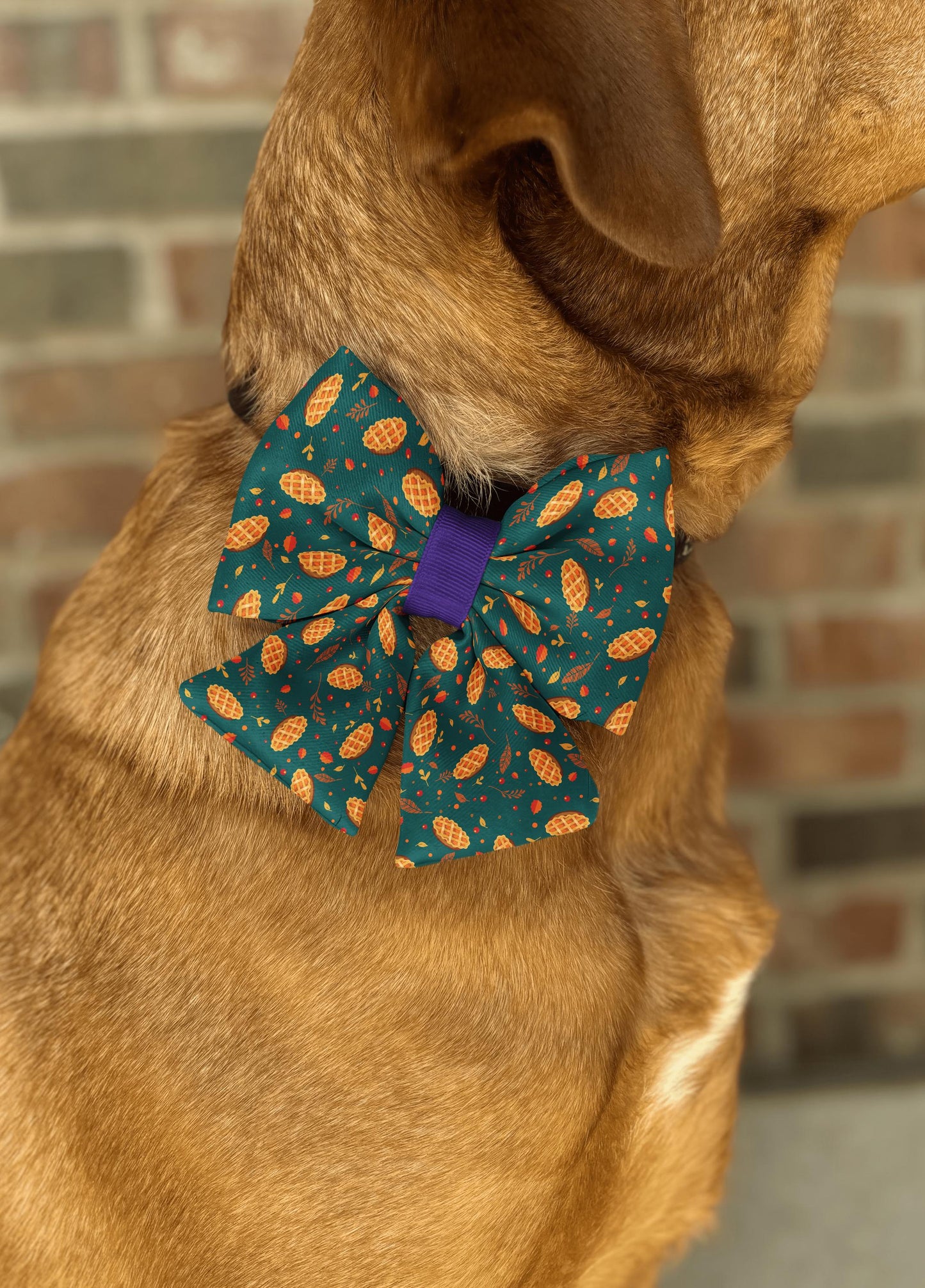 Autumn Pie Delight Pet Collar Bow Tie • Festive Fall Design • Cozy & Vibrant Colors • 21 Ribbons • Dog Bow Tie • Cat Bow Tie • Handmade