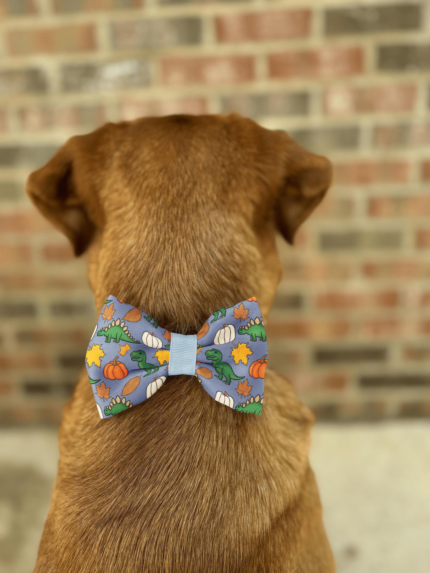 Autumn Dinosaur Dog & Cat Bow Tie • Green Dinosaurs • Pumpkins and Fall Leaves • 21 Ribbon Colors • Dog Bow Tie • Cat Bow Tie • Handmade