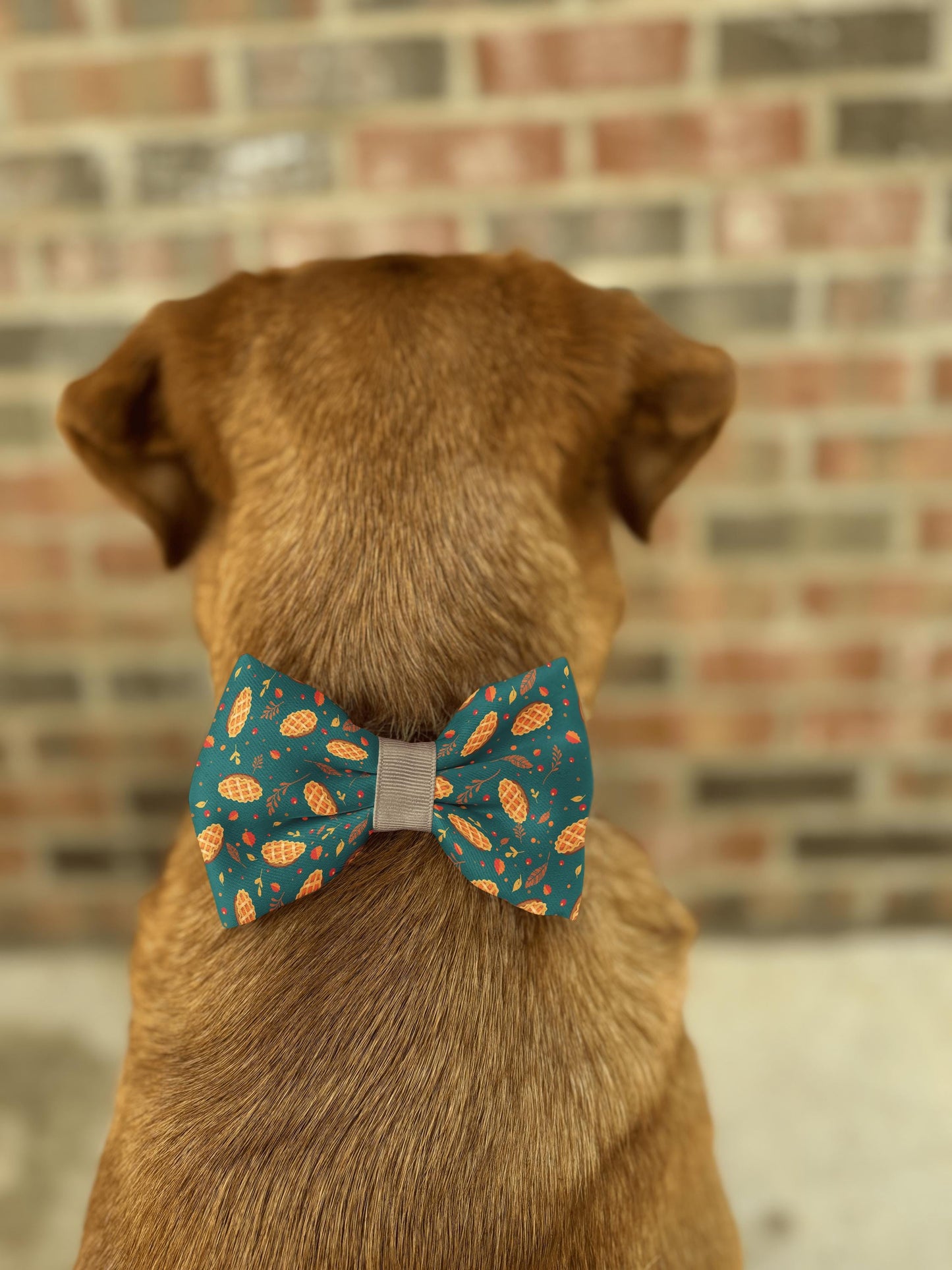 Autumn Pie Delight Pet Collar Bow Tie • Festive Fall Design • Cozy & Vibrant Colors • 21 Ribbons • Dog Bow Tie • Cat Bow Tie • Handmade