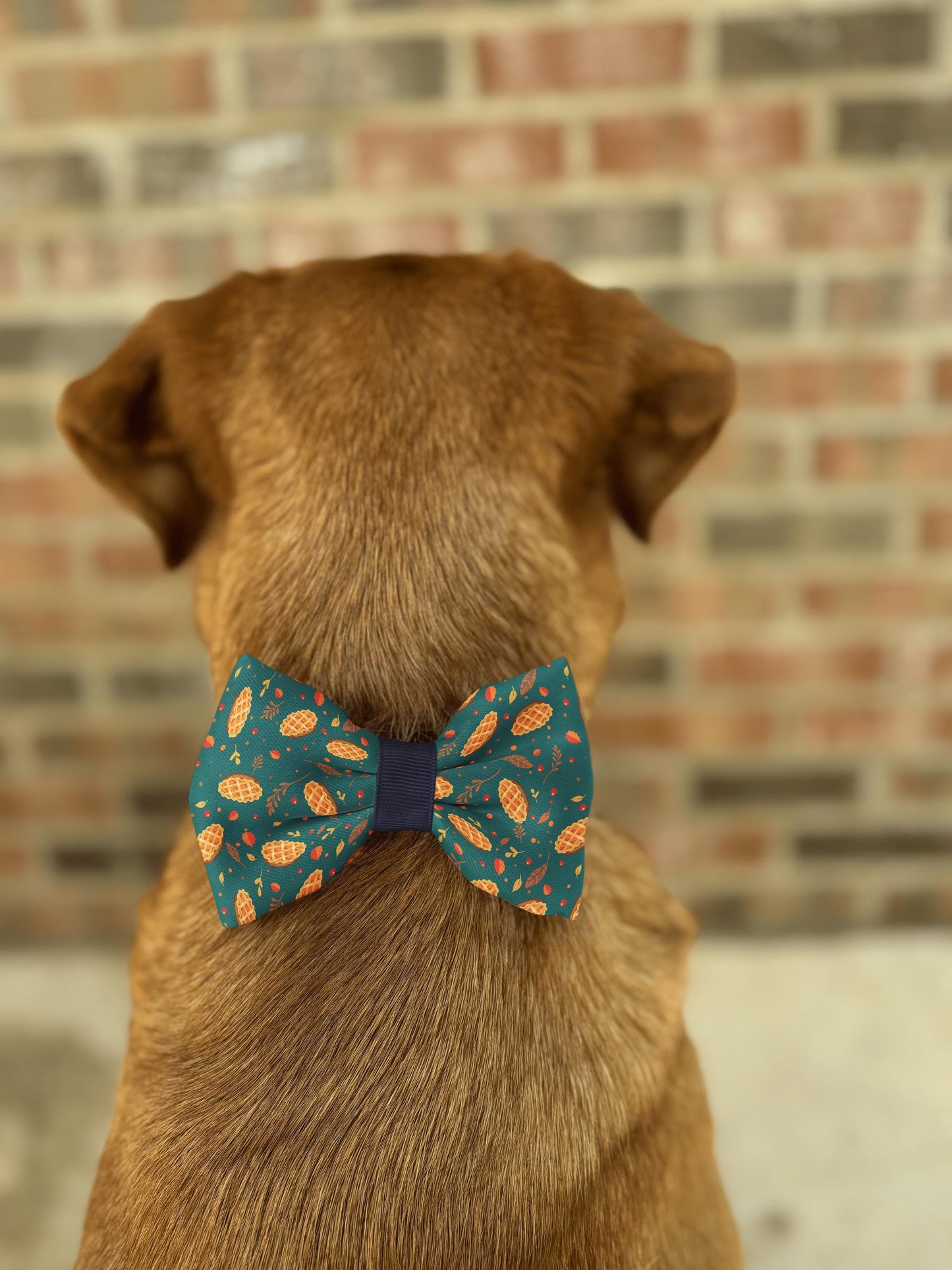 Autumn Pie Delight Pet Collar Bow Tie • Festive Fall Design • Cozy & Vibrant Colors • 21 Ribbons • Dog Bow Tie • Cat Bow Tie • Handmade