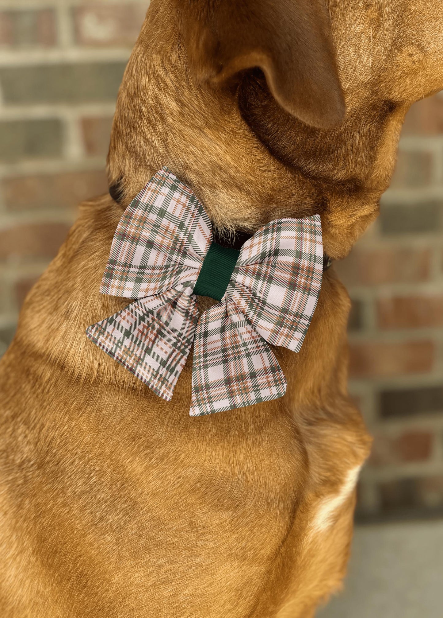 Autumn Woodland Plaid Dog and Cat Bow • Slip-On Collar Bow • Cozy Rustic Tartan Pet Accessory • Dog Bow Tie • Cat Bow Tie • Handmade