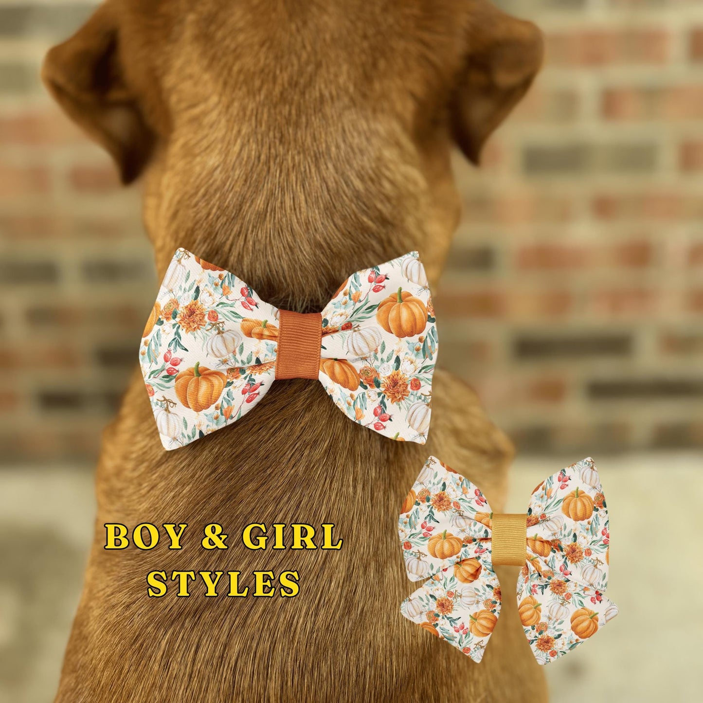 Autumn Bloom Pumpkin Bow Tie with Floral Design • Fall Pets Slip-On Collar Accessory • Dog Bow Tie • Cat Bow Tie • Handmade