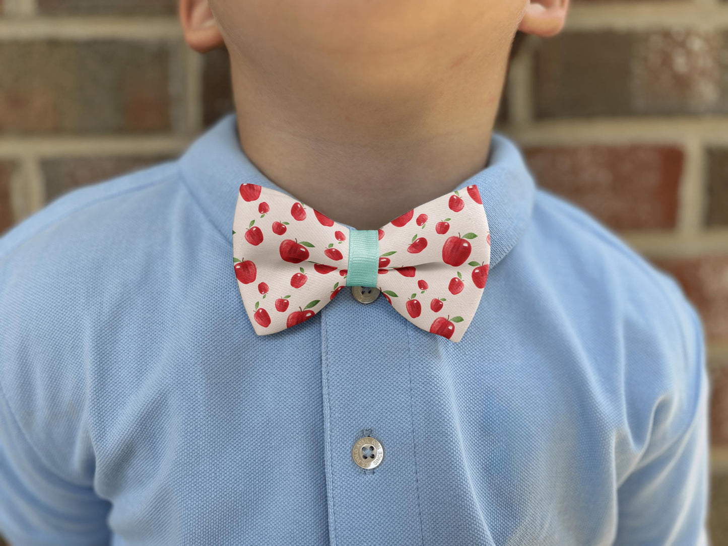 Vibrant Red Apple Bow Tie • Watercolor Apple Print • 21 Ribbon Colors • Adjustable Elastic Strap • Boy Bow Tie • Men's Bow Tie • Handmade