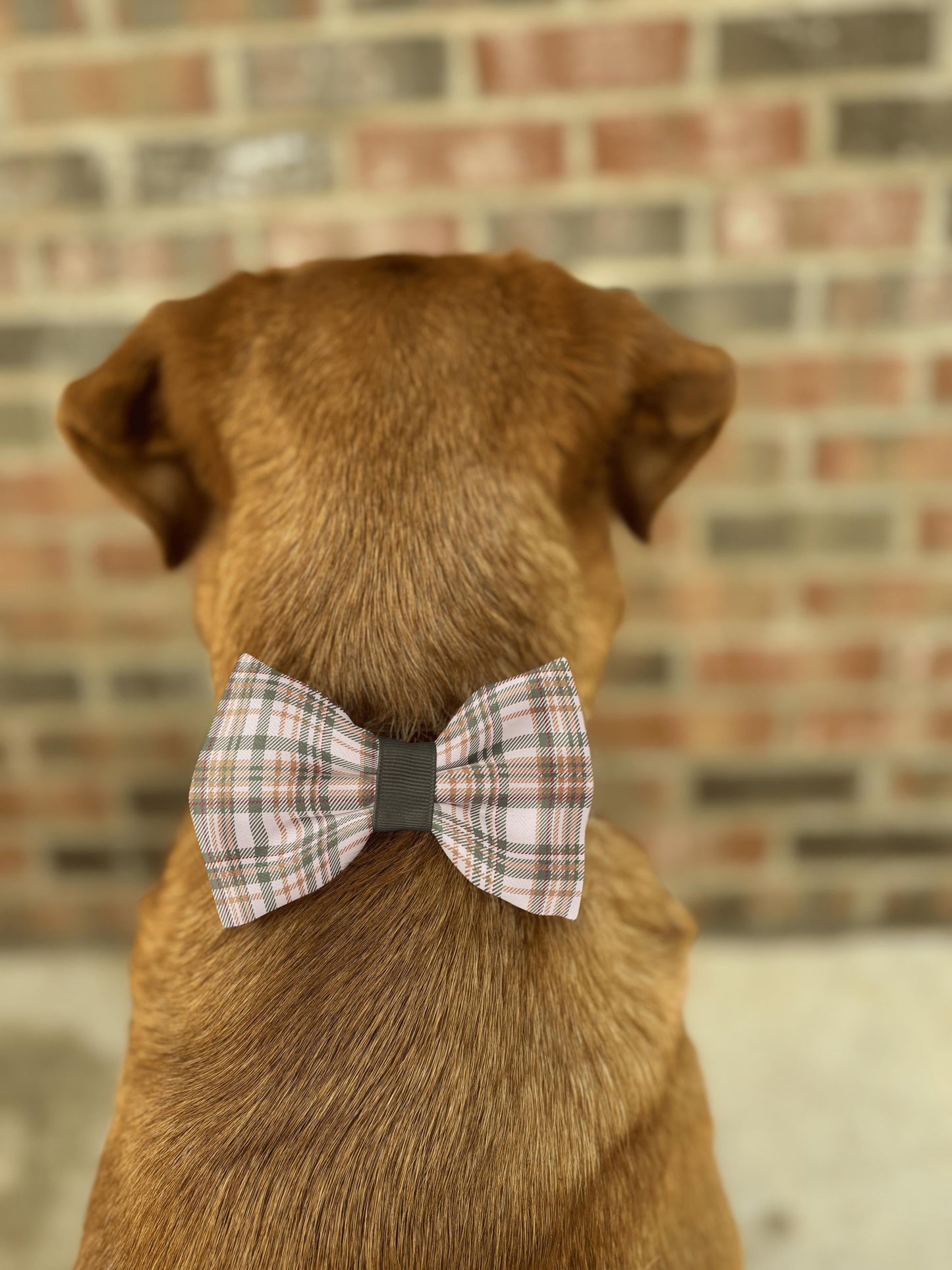 Autumn Woodland Plaid Dog and Cat Bow • Slip-On Collar Bow • Cozy Rustic Tartan Pet Accessory • Dog Bow Tie • Cat Bow Tie • Handmade