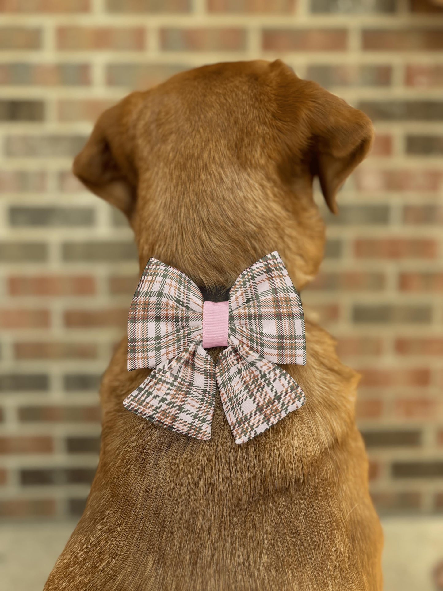 Autumn Woodland Plaid Dog and Cat Bow • Slip-On Collar Bow • Cozy Rustic Tartan Pet Accessory • Dog Bow Tie • Cat Bow Tie • Handmade