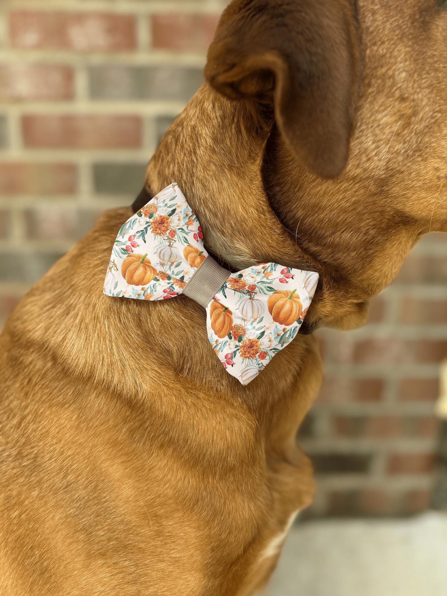 Autumn Bloom Pumpkin Bow Tie with Floral Design • Fall Pets Slip-On Collar Accessory • Dog Bow Tie • Cat Bow Tie • Handmade