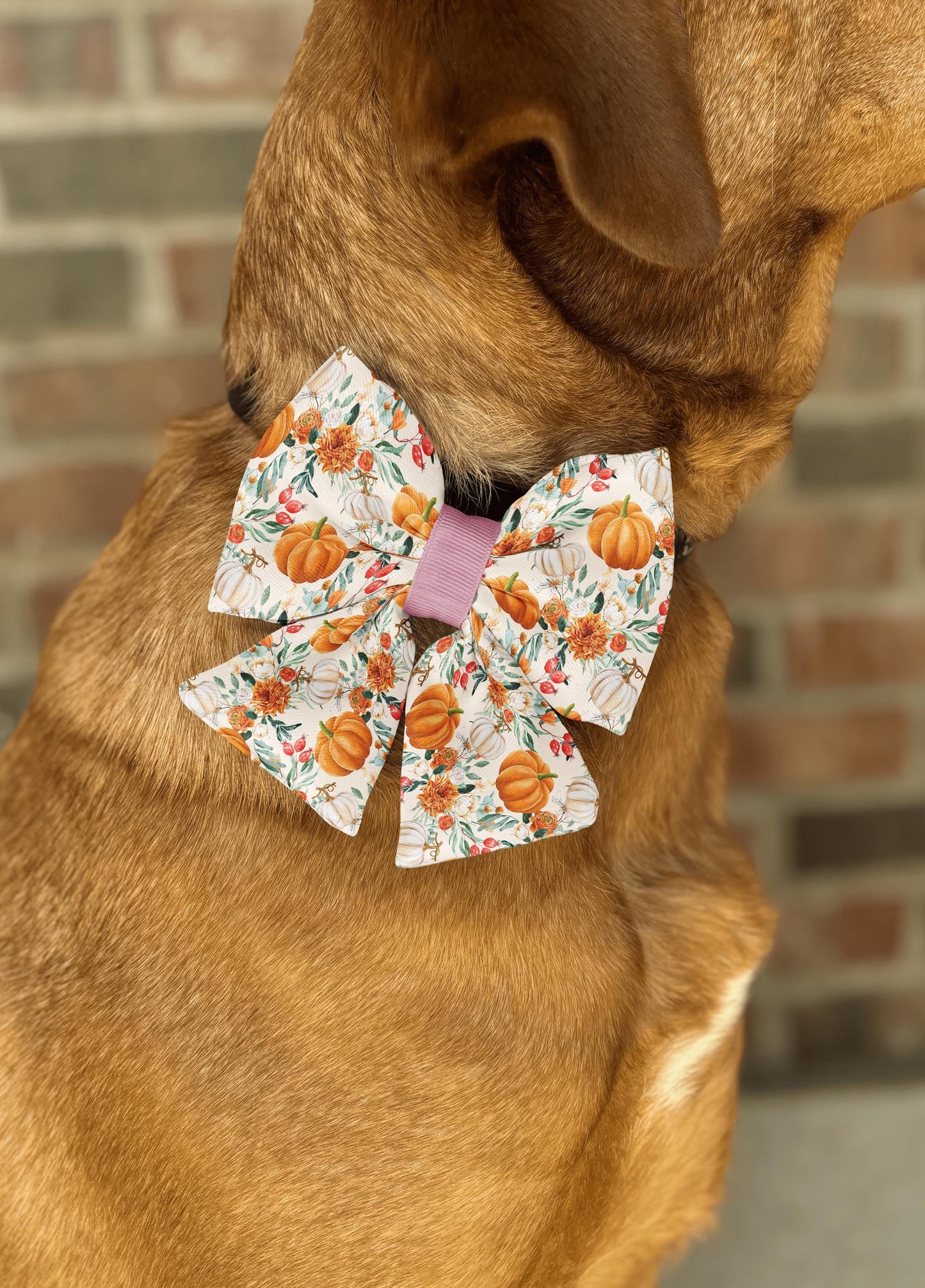 Autumn Bloom Pumpkin Bow Tie with Floral Design • Fall Pets Slip-On Collar Accessory • Dog Bow Tie • Cat Bow Tie • Handmade