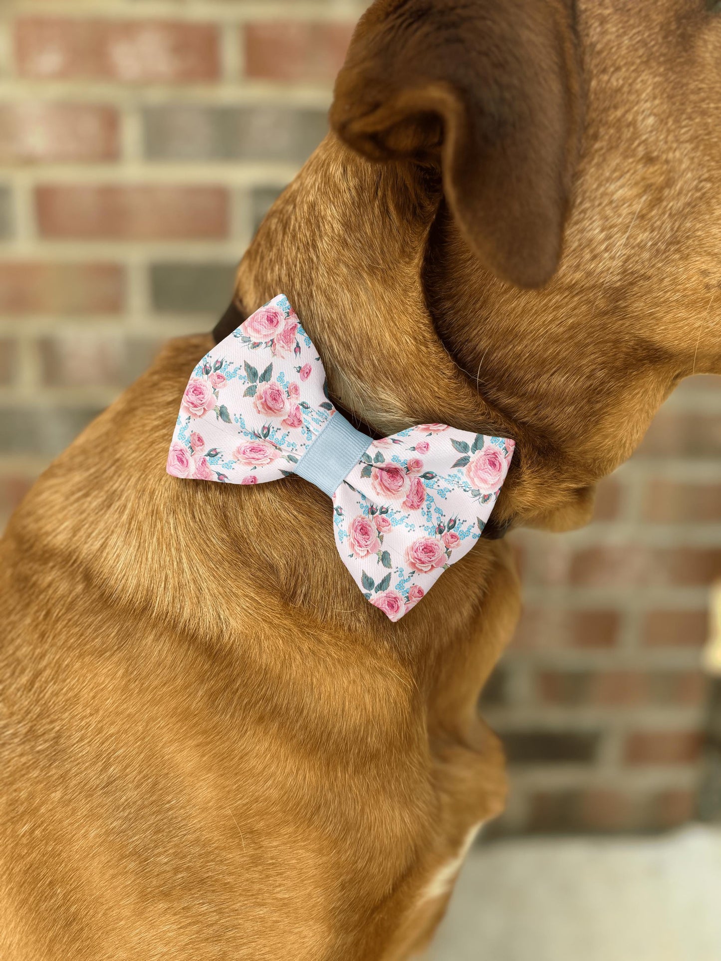 Rose Elegance Floral Bow Tie • Romantic Pink Roses & Blue Forget-Me-Not Pattern • Dog Bow Tie • Cat Bow Tie • Handmade