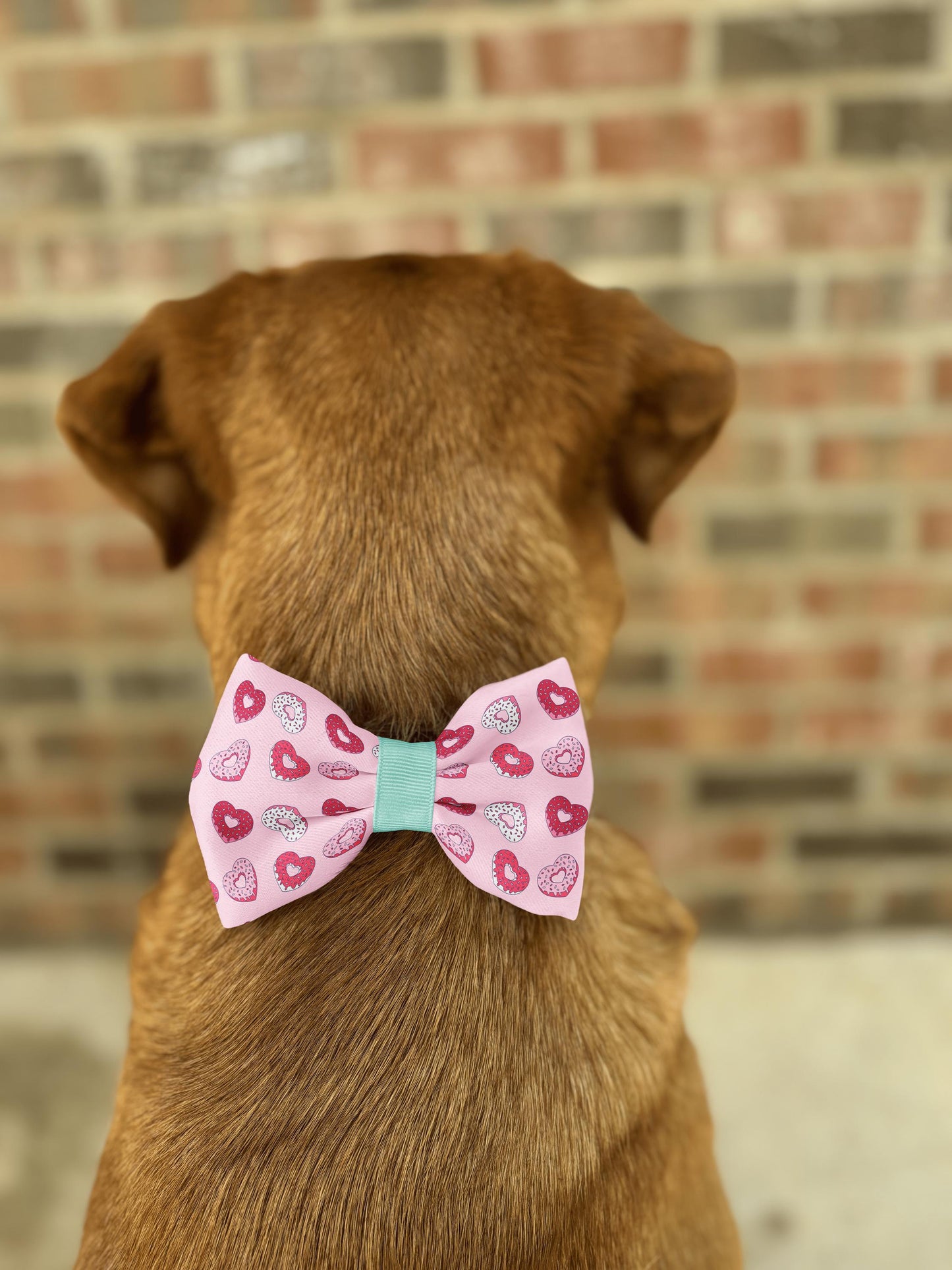 Heart Donut Bow Tie • Valentine's Day • Cute Pink Love Theme with Colorful Sprinkles • Dog Bow Tie • Cat Bow Tie • Handmade