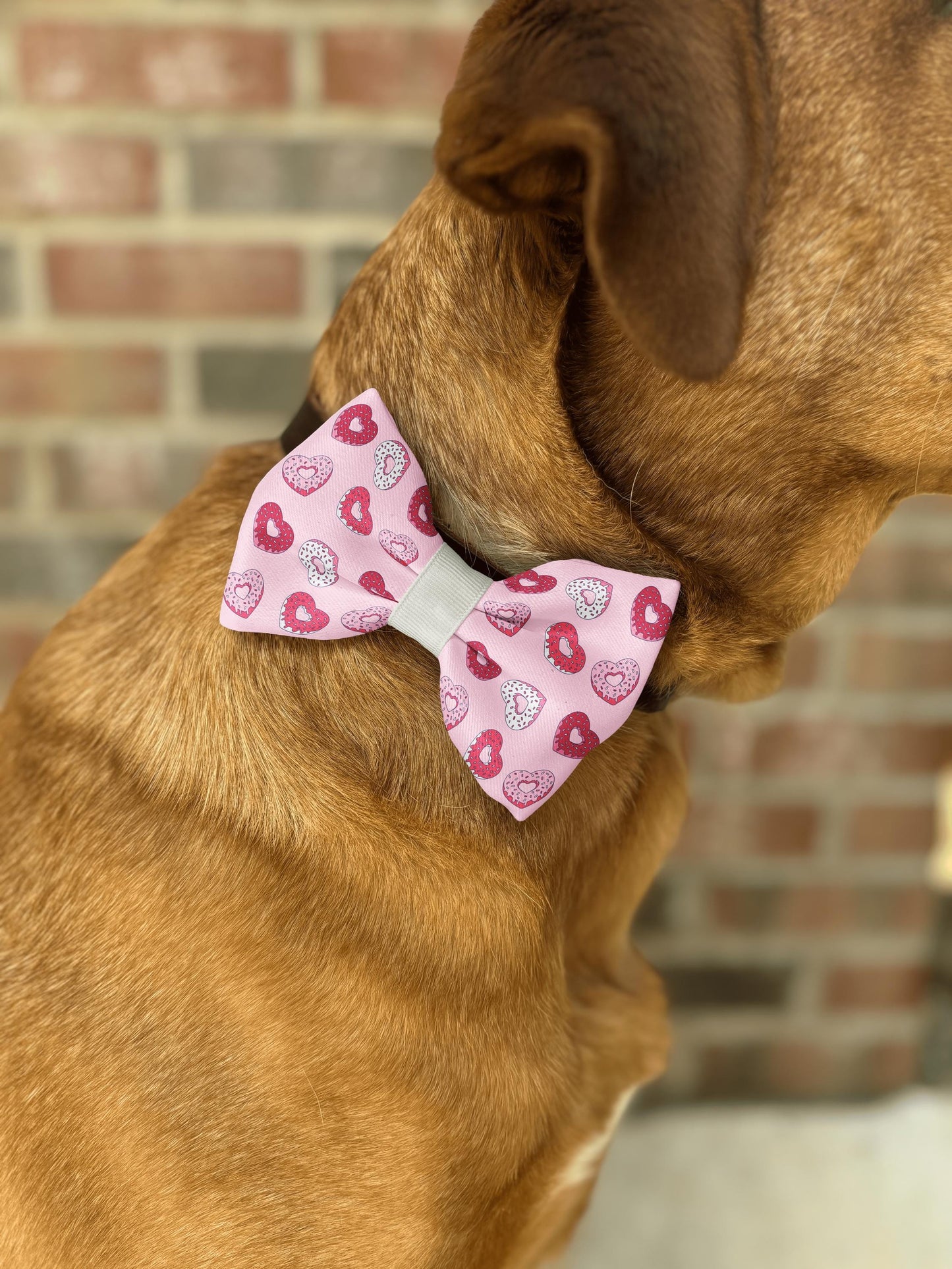 Heart Donut Bow Tie • Valentine's Day • Cute Pink Love Theme with Colorful Sprinkles • Dog Bow Tie • Cat Bow Tie • Handmade