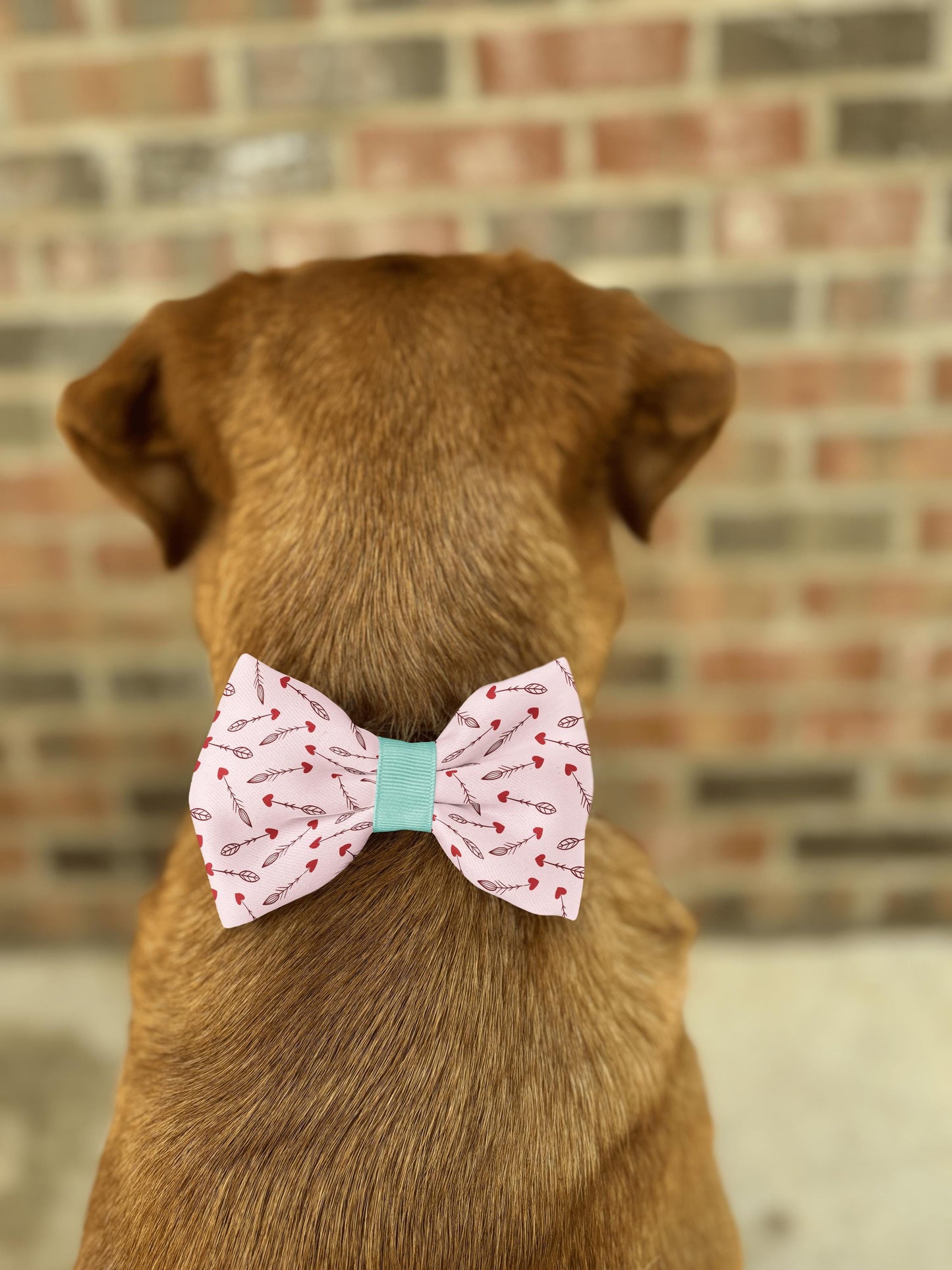 Cupid's Arrows Bow Tie • Blush Pink & Red Heart Arrows Design • Dog Bow Tie • Cat Bow Tie • Handmade