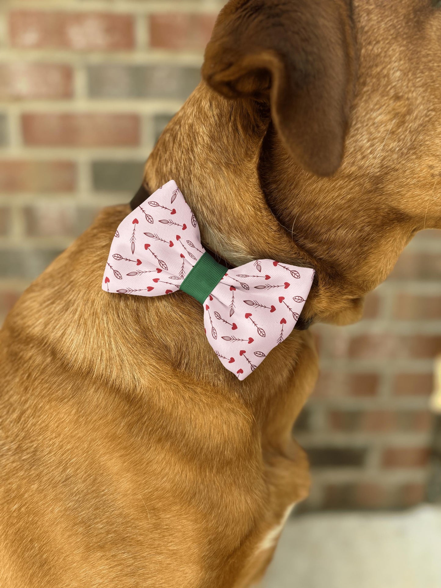 Cupid's Arrows Bow Tie • Blush Pink & Red Heart Arrows Design • Dog Bow Tie • Cat Bow Tie • Handmade