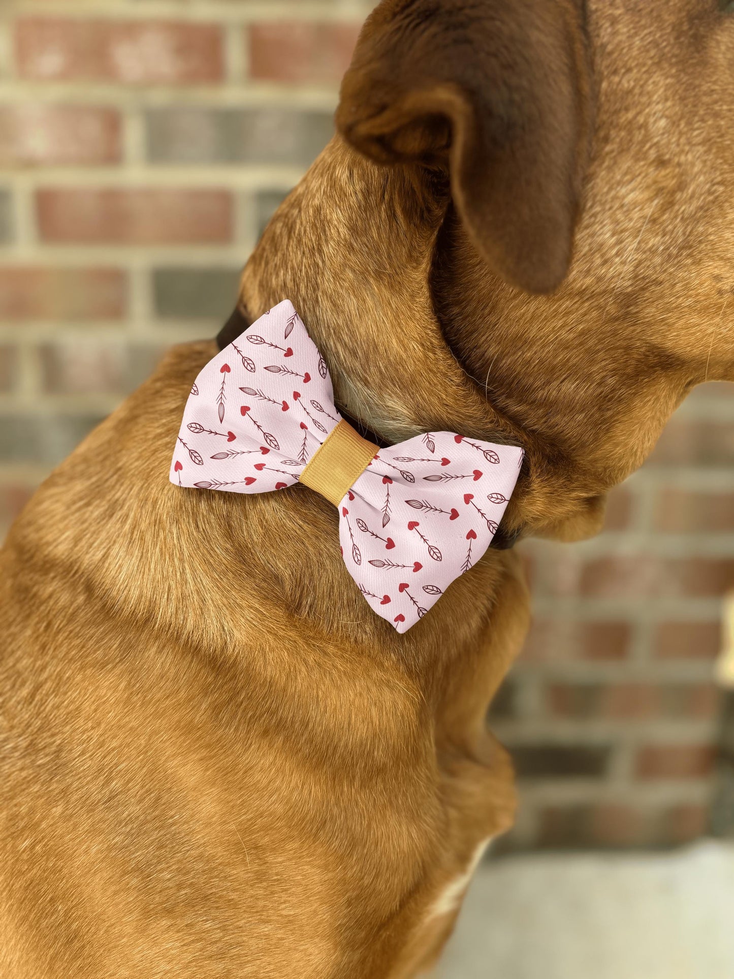 Cupid's Arrows Bow Tie • Blush Pink & Red Heart Arrows Design • Dog Bow Tie • Cat Bow Tie • Handmade