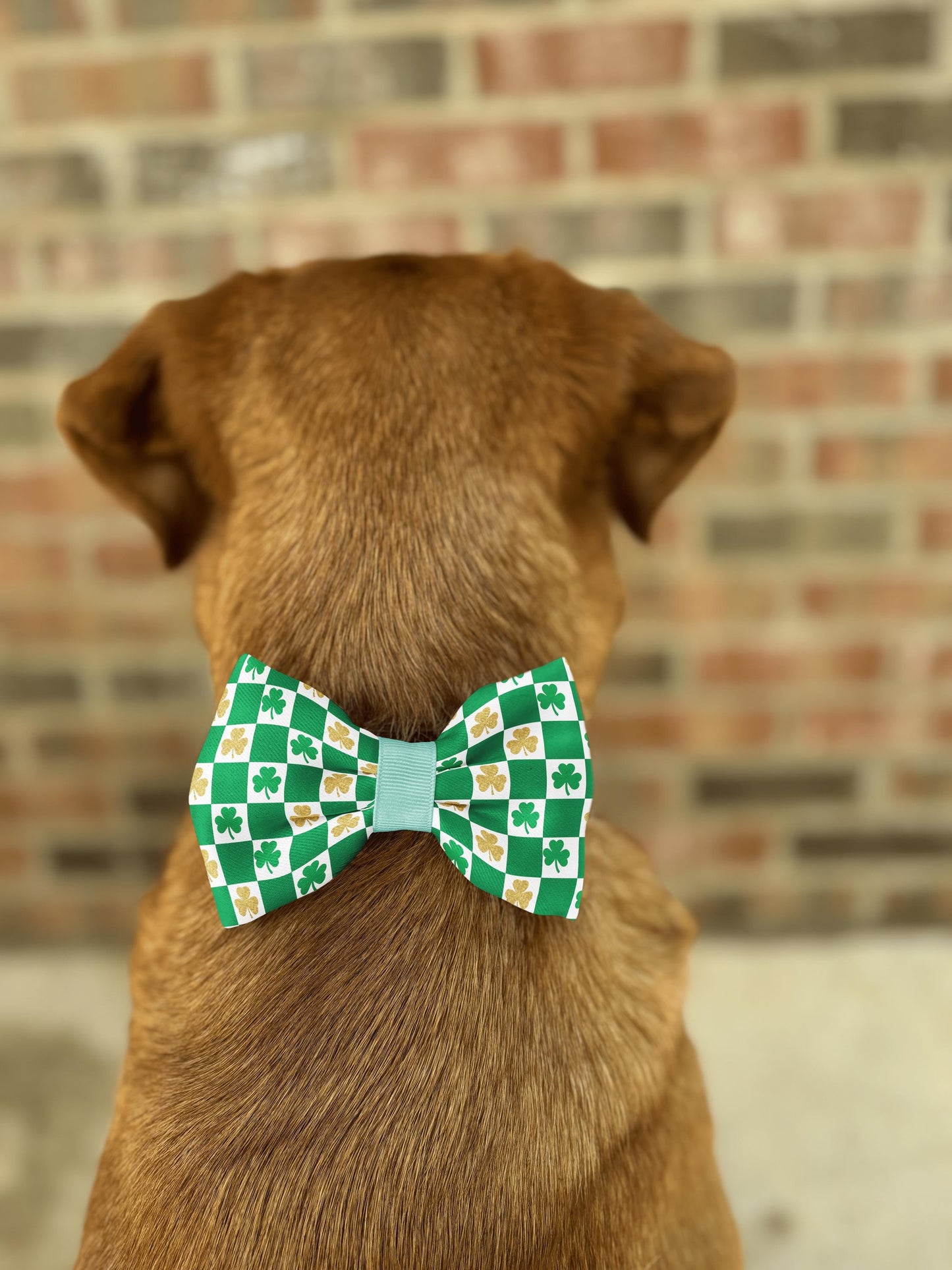 Shamrock Checkers Bow Tie • St. Patrick's Day Green Checkers and Gold Glitter Shamrocks • Dog Bow Tie • Cat Bow Tie • Handmade