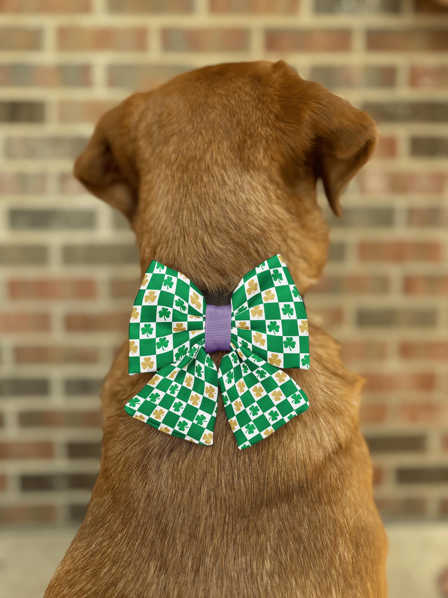 Shamrock Checkers Bow Tie • St. Patrick's Day Green Checkers and Gold Glitter Shamrocks • Dog Bow Tie • Cat Bow Tie • Handmade