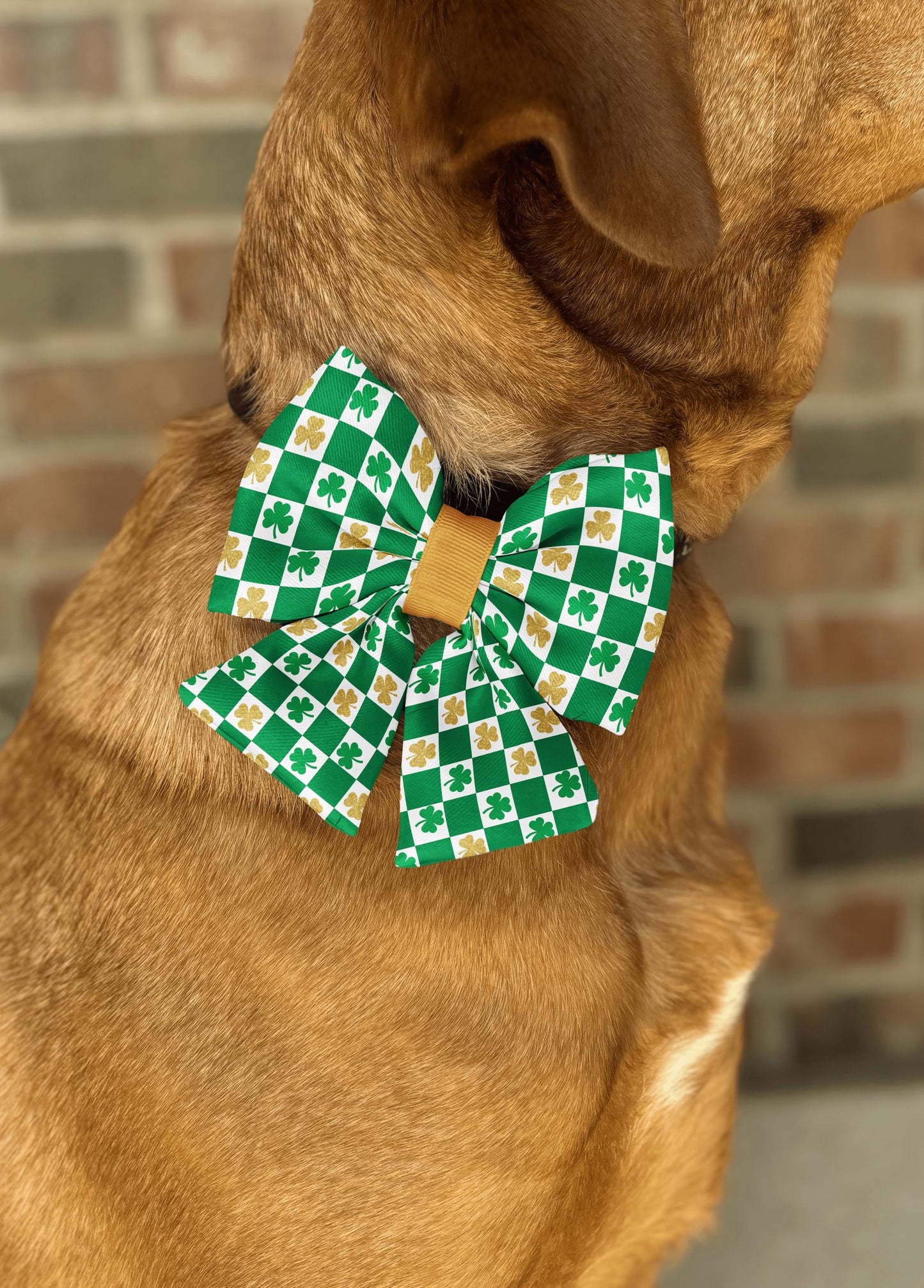 Shamrock Checkers Bow Tie • St. Patrick's Day Green Checkers and Gold Glitter Shamrocks • Dog Bow Tie • Cat Bow Tie • Handmade
