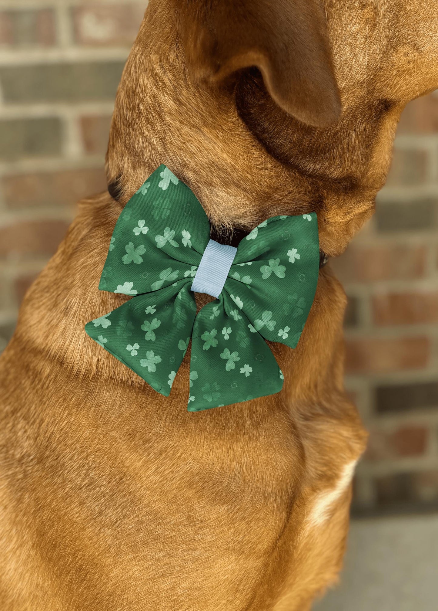Clover Forest Bow Tie • St. Patrick's Day Shamrocks • Dog Bow Tie • Cat Bow Tie • Handmade