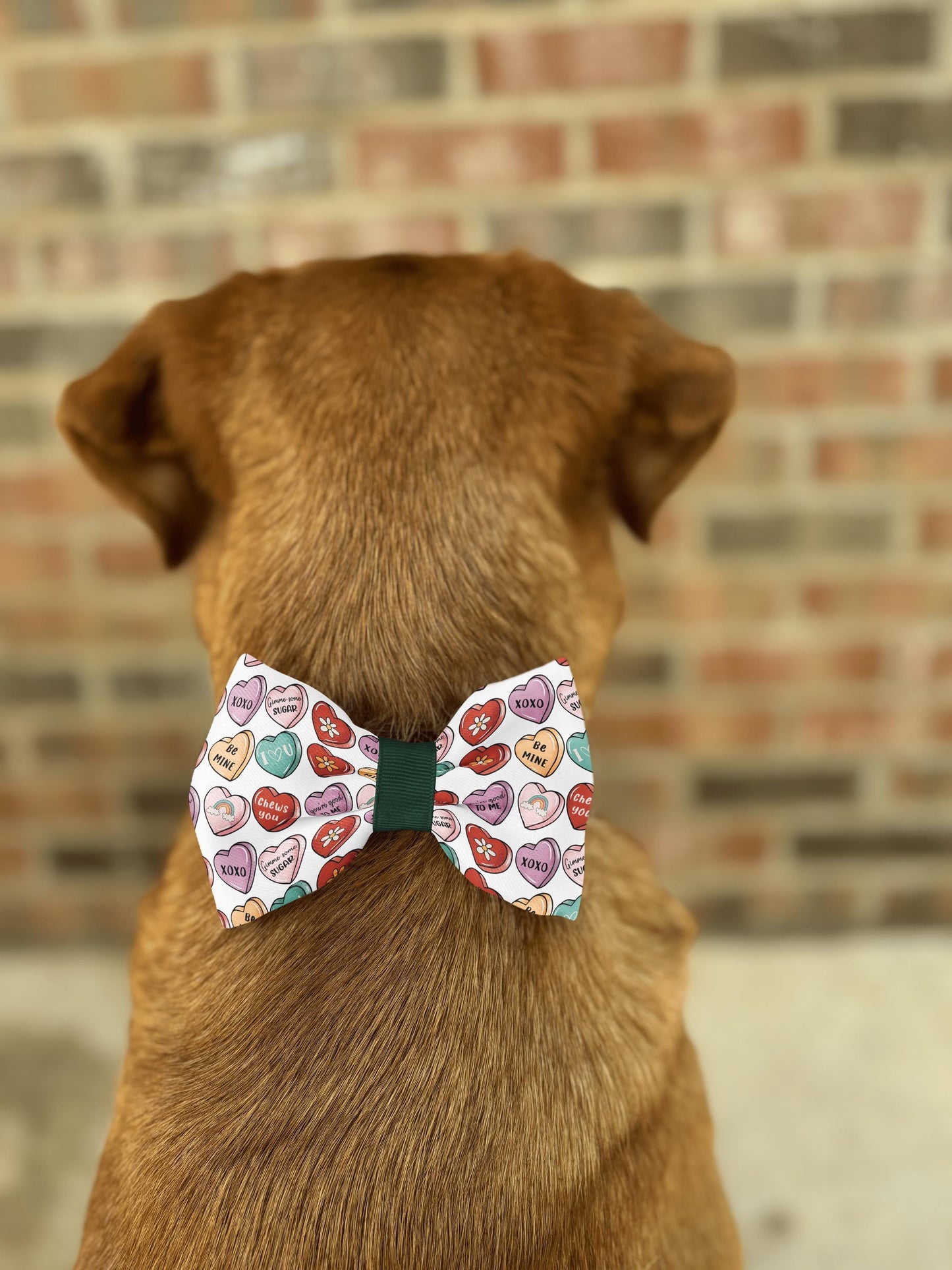 Valentine's Day Candy Heart Bow Tie • Colorful Sweetheart Pattern • Retro Modern Style • Dog Bow Tie • Cat Bow Tie • Handmade