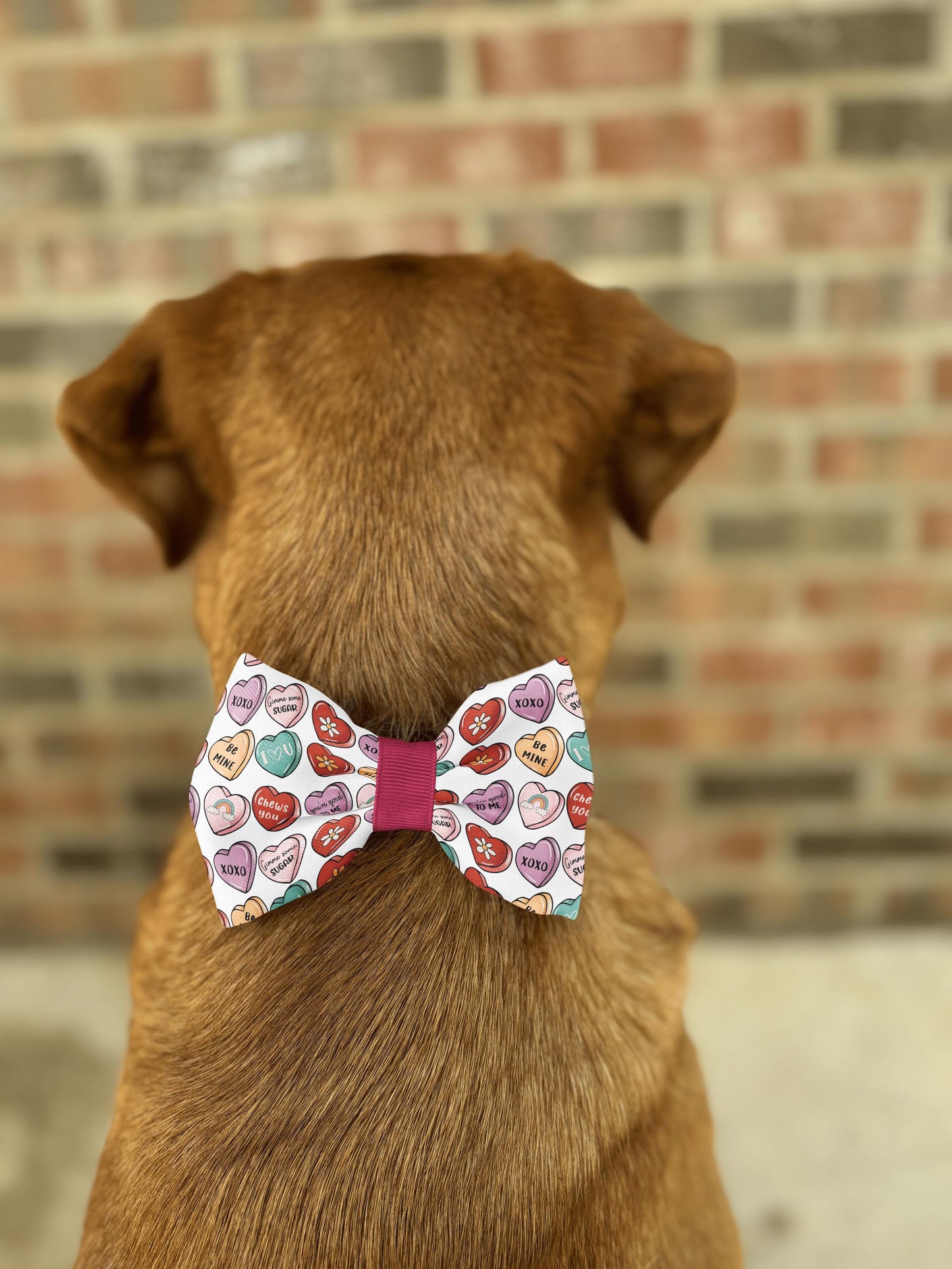 Valentine's Day Candy Heart Bow Tie • Colorful Sweetheart Pattern • Retro Modern Style • Dog Bow Tie • Cat Bow Tie • Handmade