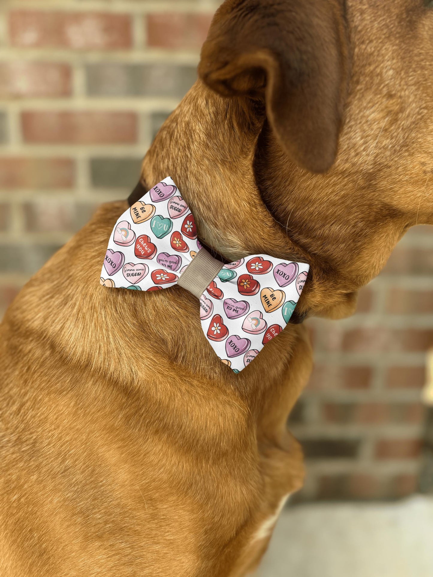 Valentine's Day Candy Heart Bow Tie • Colorful Sweetheart Pattern • Retro Modern Style • Dog Bow Tie • Cat Bow Tie • Handmade