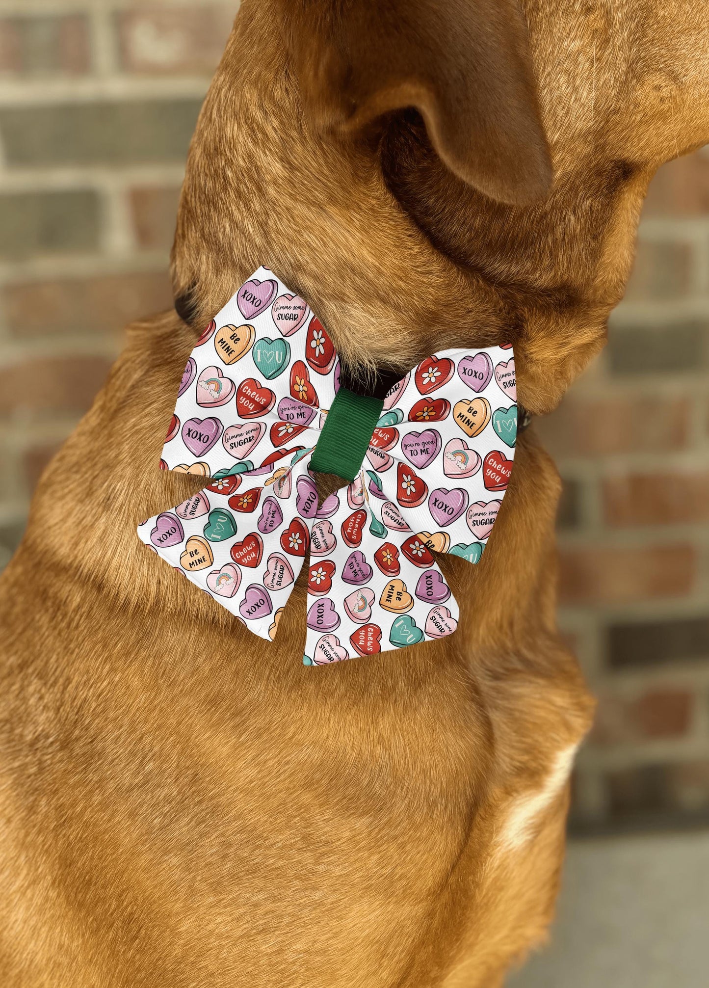 Valentine's Day Candy Heart Bow Tie • Colorful Sweetheart Pattern • Retro Modern Style • Dog Bow Tie • Cat Bow Tie • Handmade