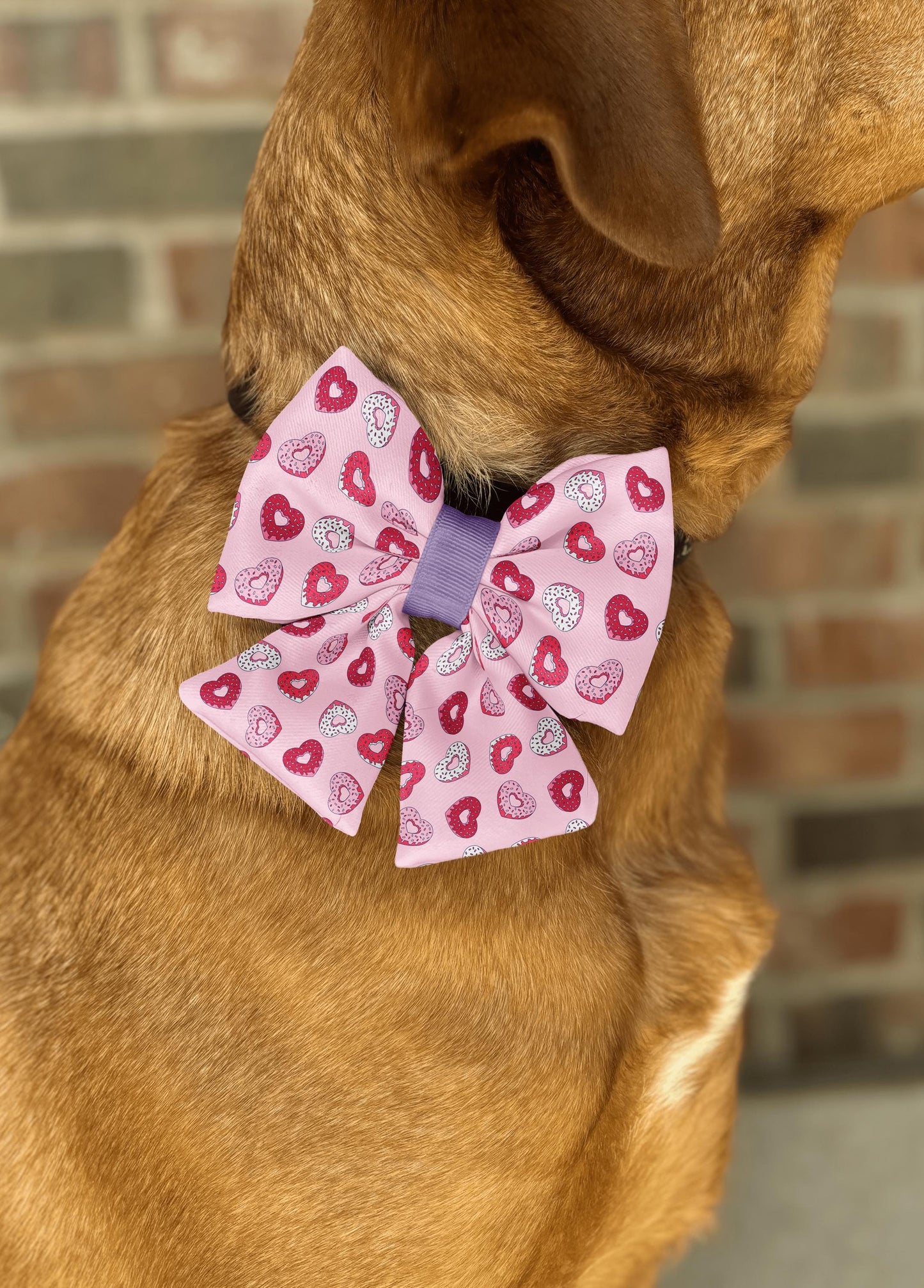 Heart Donut Bow Tie • Valentine's Day • Cute Pink Love Theme with Colorful Sprinkles • Dog Bow Tie • Cat Bow Tie • Handmade