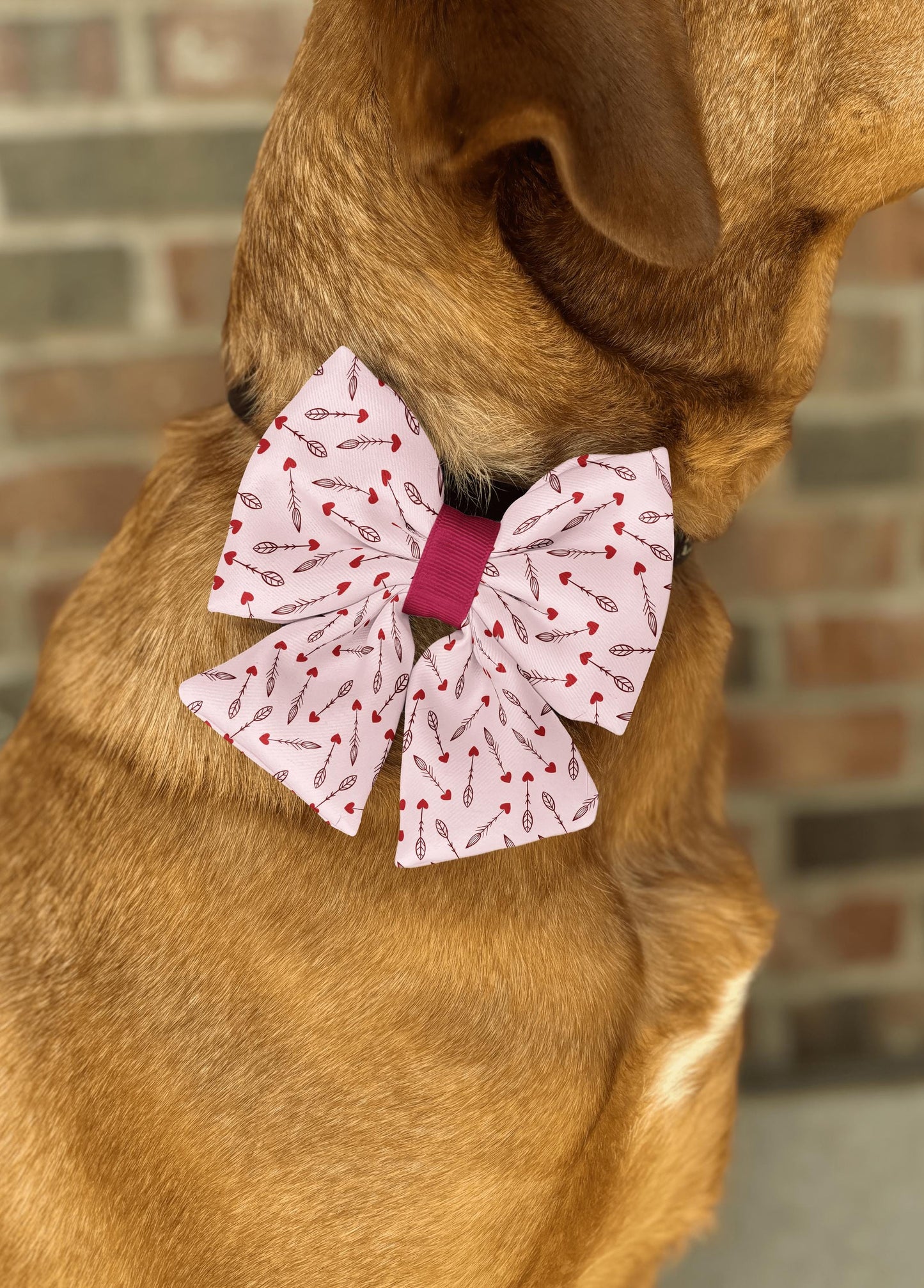 Cupid's Arrows Bow Tie • Blush Pink & Red Heart Arrows Design • Dog Bow Tie • Cat Bow Tie • Handmade