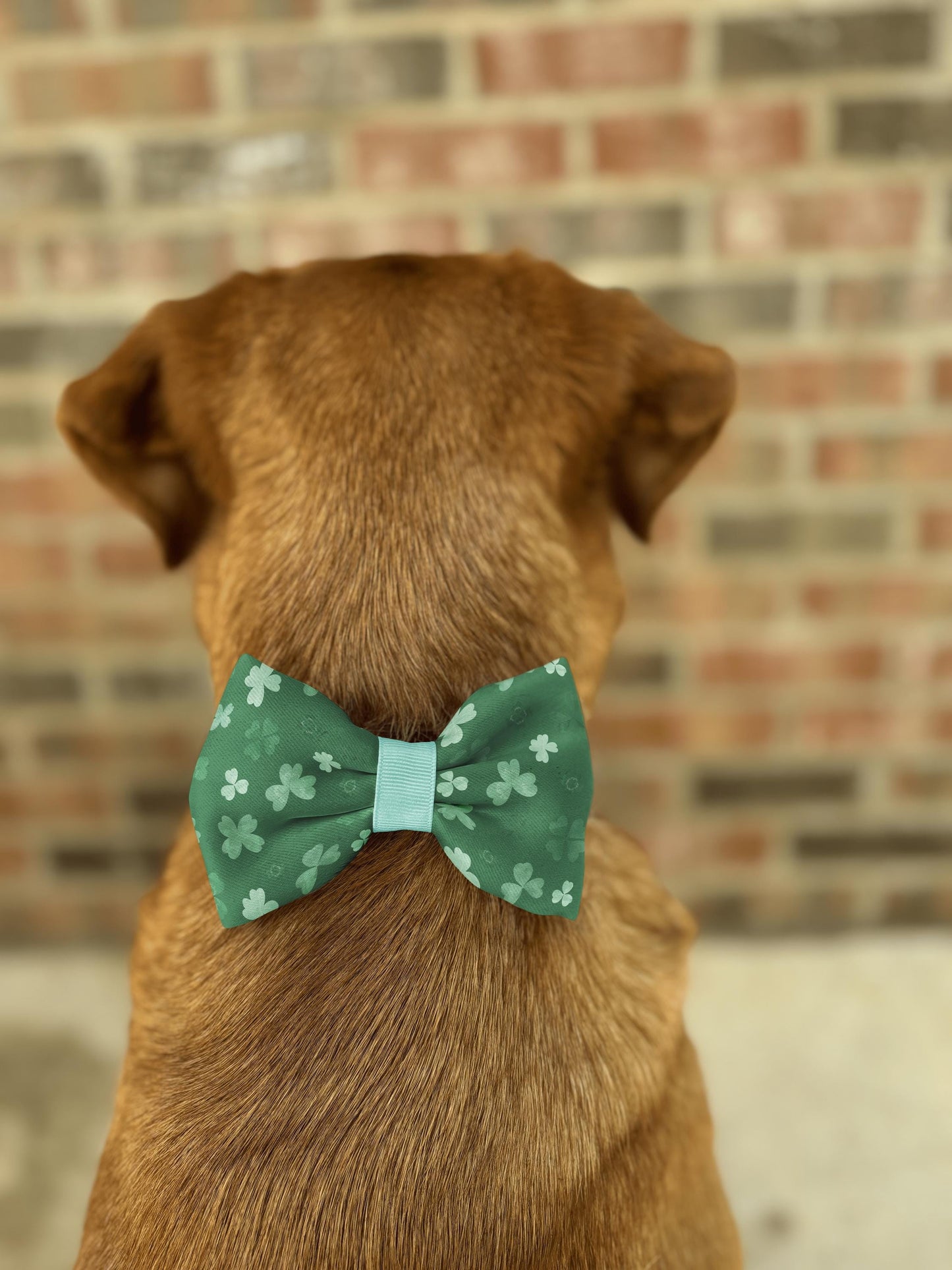 Clover Forest Bow Tie • St. Patrick's Day Shamrocks • Dog Bow Tie • Cat Bow Tie • Handmade