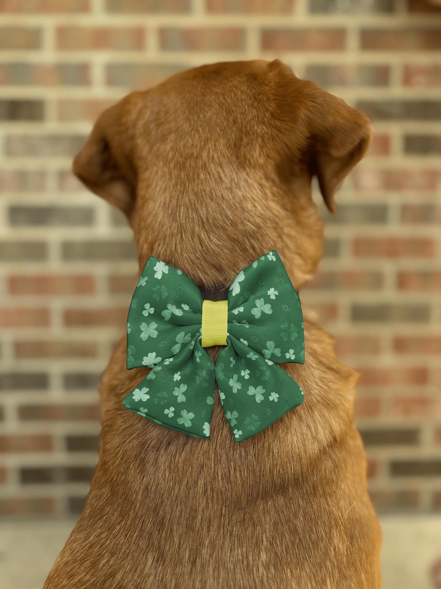 Clover Forest Bow Tie • St. Patrick's Day Shamrocks • Dog Bow Tie • Cat Bow Tie • Handmade