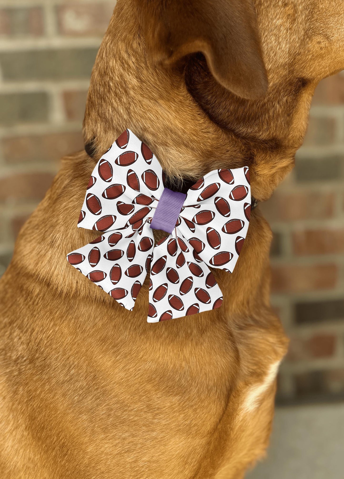 All-American Football Pet Bow Tie for Dogs & Cats • Sports Game Day • 21 Ribbon Colors • Dog Bow Tie • Cat Bow Tie • Handmade
