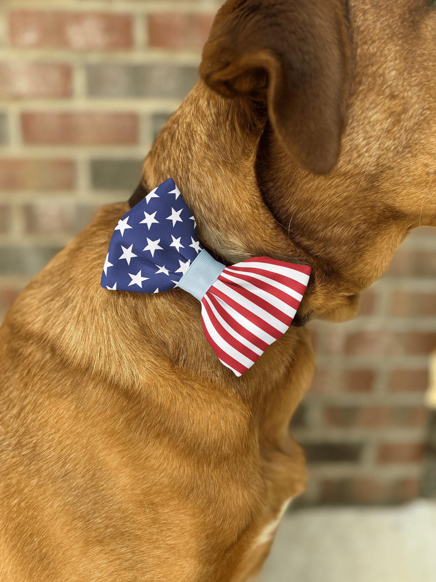 American Flag Pet Bow Tie • Patriotic, Adjustable, Handmade Puffy Design • Dog Bow Tie • Cat Bow Tie • Slip-On Bow • Handmade