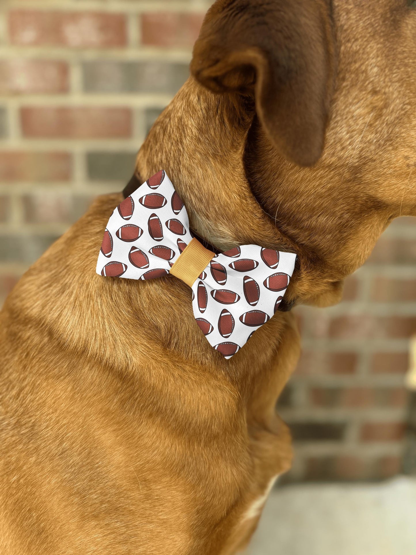 All-American Football Pet Bow Tie for Dogs & Cats • Sports Game Day • 21 Ribbon Colors • Dog Bow Tie • Cat Bow Tie • Handmade