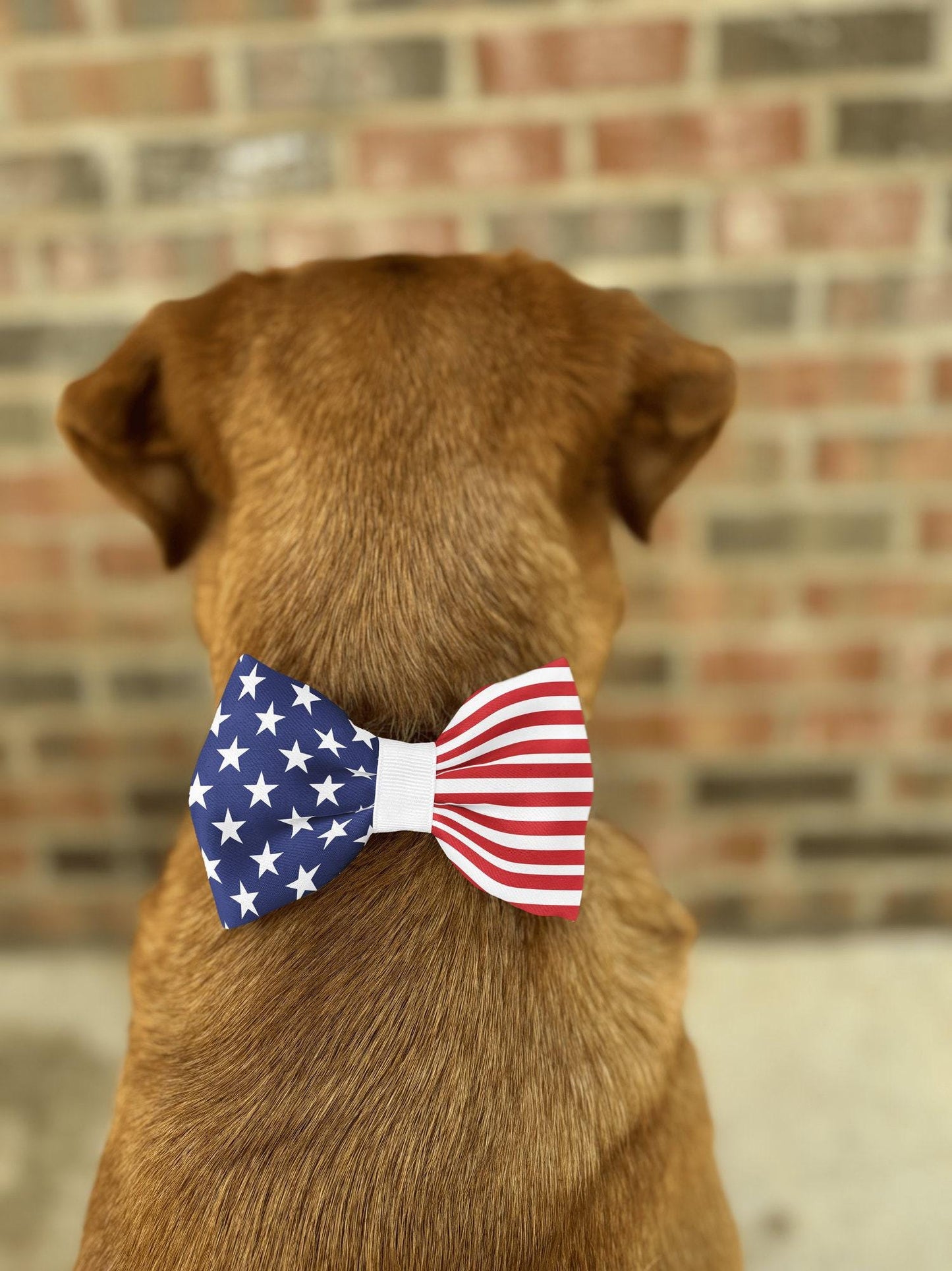American Flag Pet Bow Tie • Patriotic, Adjustable, Handmade Puffy Design • Dog Bow Tie • Cat Bow Tie • Slip-On Bow • Handmade