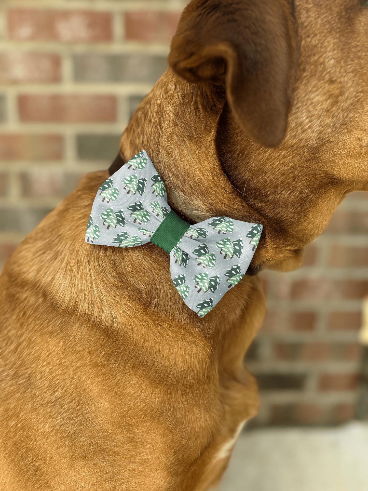 Winter Snowy Pine Dog Cat Bow Tie • Collar Slip-On • 21 Ribbon Colors • Forest Pet Accessory • Dog Bow Tie • Cat Bow Tie • Handmade